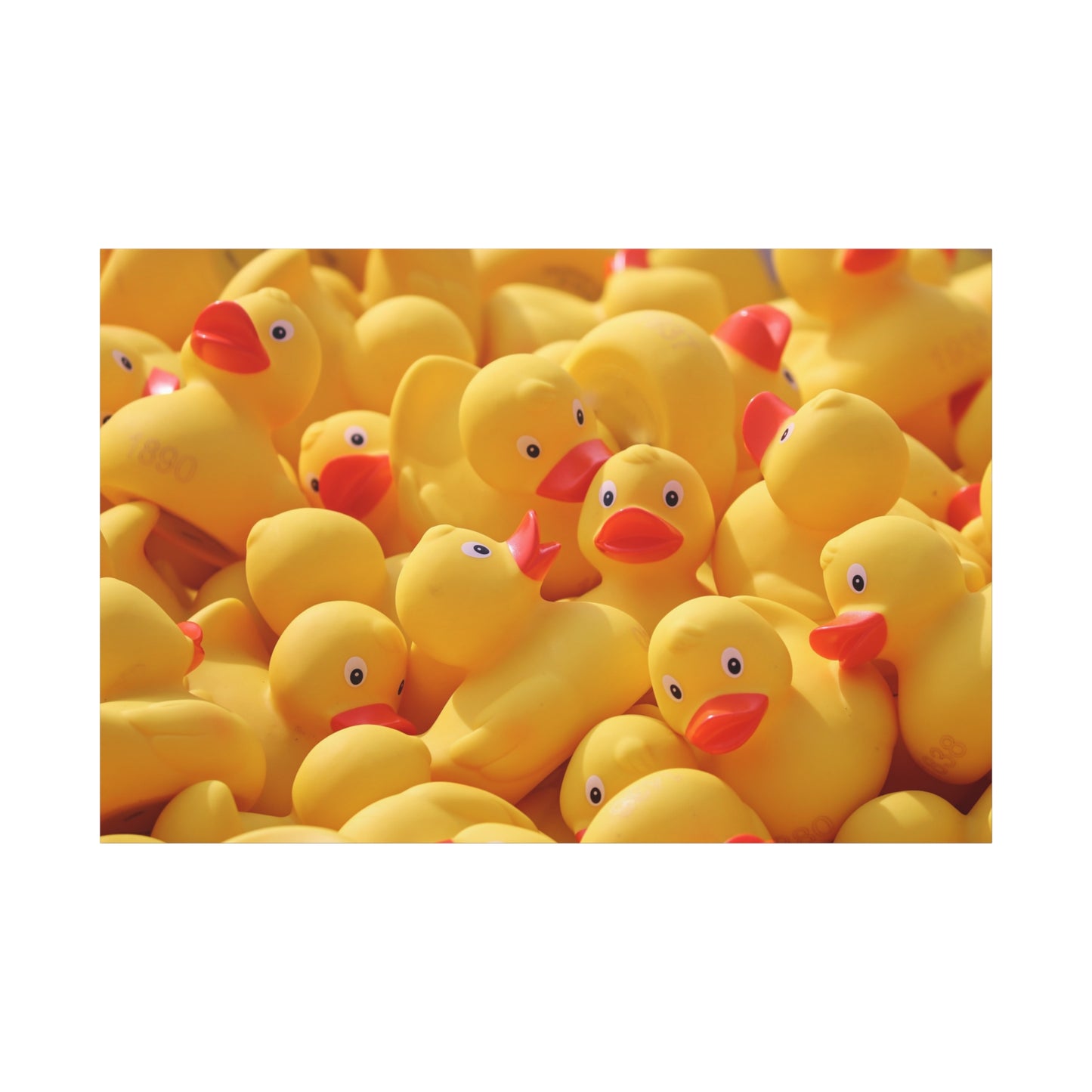 Playful Rubber Duck Canvas Wall Art