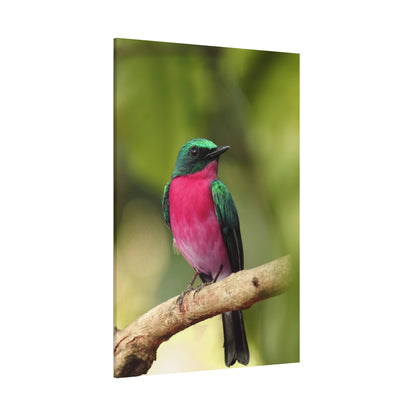 Charming Perched Bird Canvas Wall Art – Nature's Serenity in Every Detail