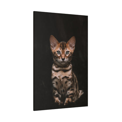 Adorable Kitten Canvas Wall Art