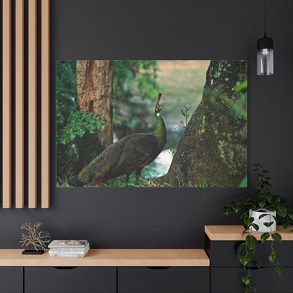 Majestic Peacock Canvas Wall Art – Elegant Wildlife Decor for Home & Office Spaces