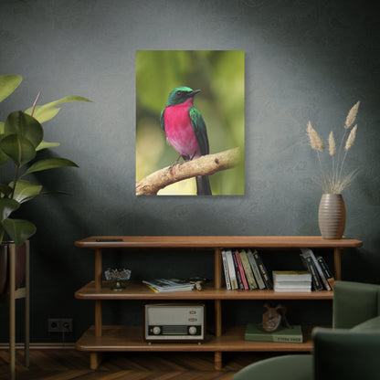 Charming Perched Bird Canvas Wall Art – Nature's Serenity in Every Detail