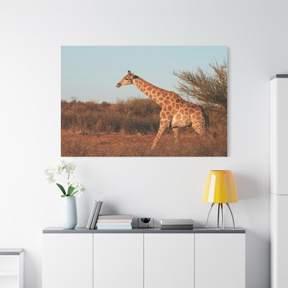 Graceful Giraffe Canvas Wall Art – A Majestic Symbol of the Wild