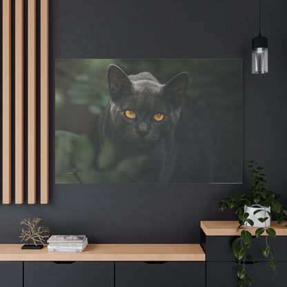 Enchanting Cat Eyes Canvas Wall Art – Mesmerizing Gaze of Grace