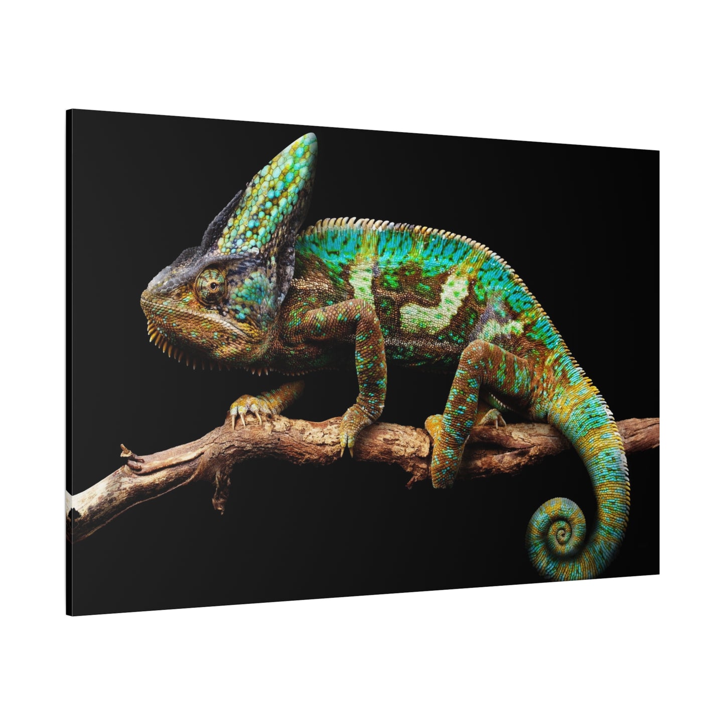 Enigmatic Chameleon Canvas Wall Art – Exotic Wildlife Print for Unique Nature Decor