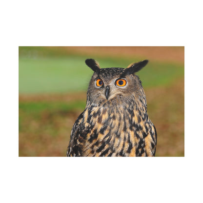 Majestic European Eagle Owl Canvas Wall Art