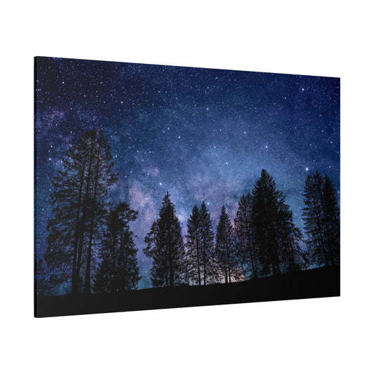 Starry Night Sky Over Enchanted Forest Illustration