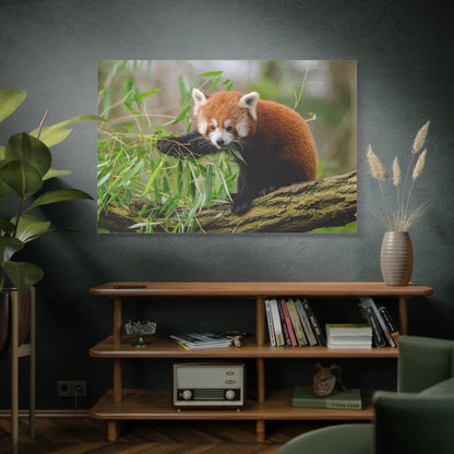 Adorable Red Panda Canvas Wall Art – Nature’s Charm and Elegance