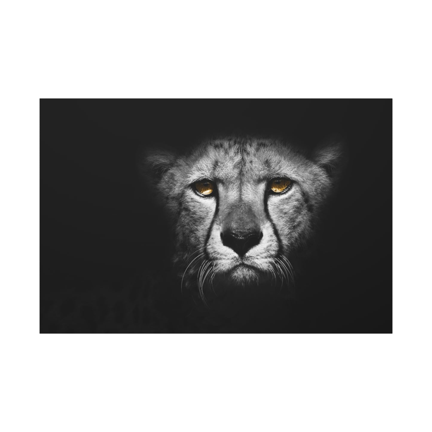 Wild Cheetah Canvas Art – Bold Safari Animal Print