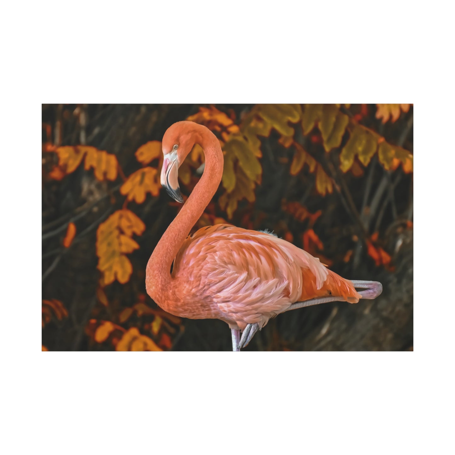 Elegant Flamingo Canvas Wall Art – Pink Bird Wildlife Decor for Modern Spaces