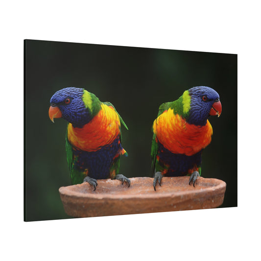 Rainbow Lorikeets Canvas Art – A Splash of Vibrant Beauty