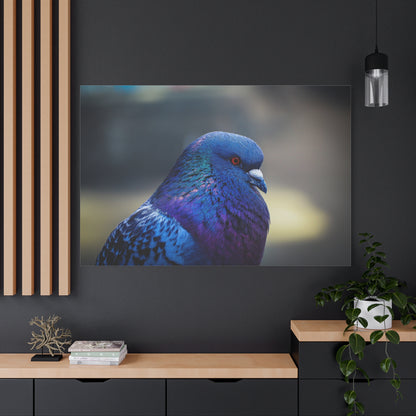 Serene Pigeon Canvas Art – Elegant Bird Feathers Print