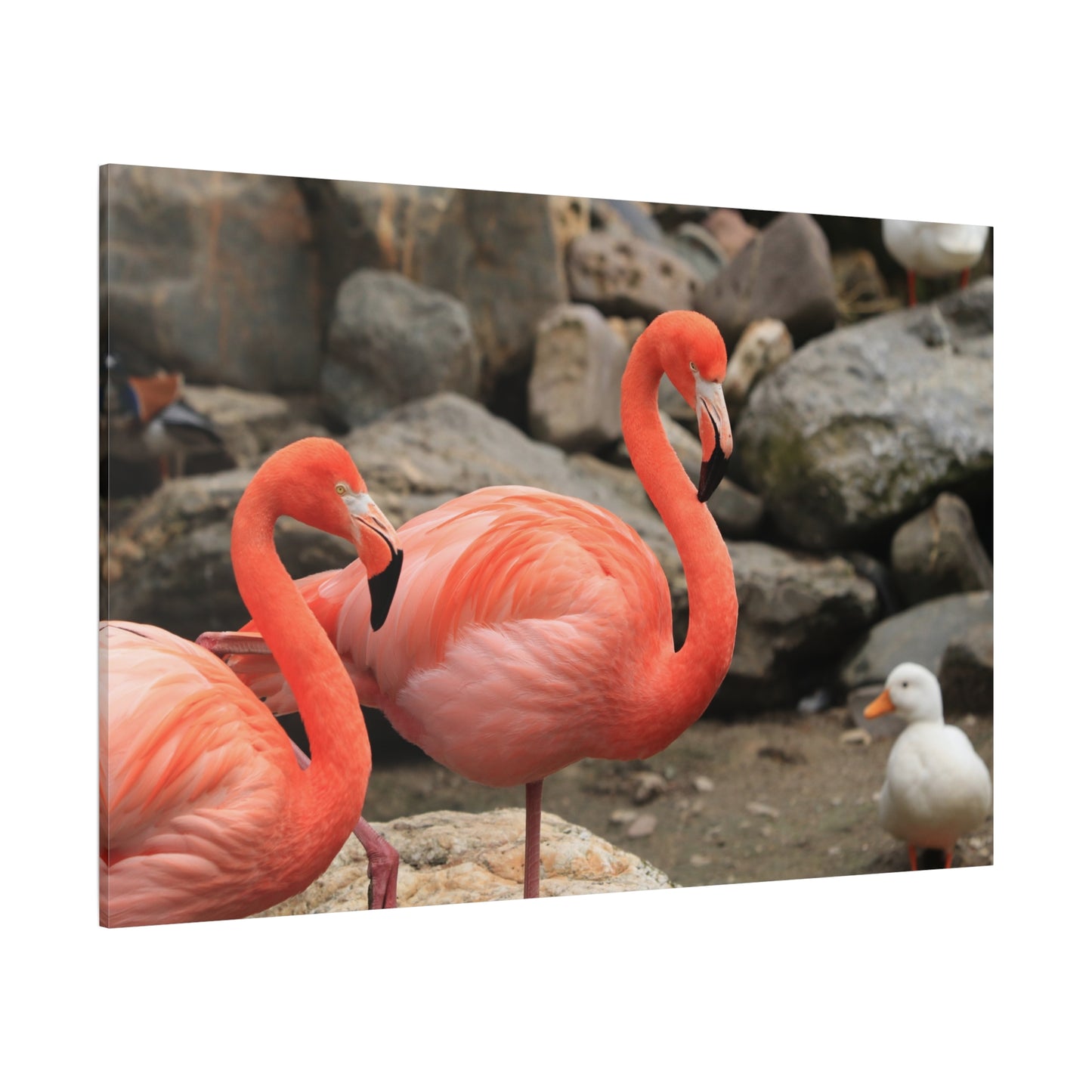 Pink Flamingo Canvas Wall Art – Elegant Tropical Bird Decor for Living Room & Office Spaces