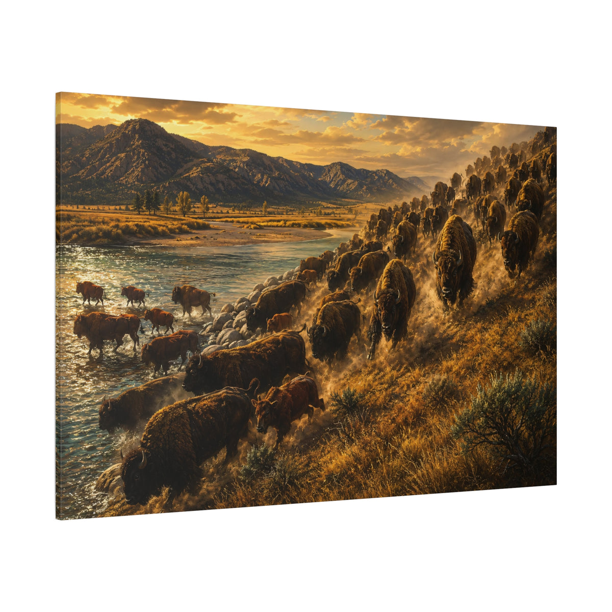 Bison Herd River Crossing Wrapped Canvas Wall Art – Epic Golden Hour Migration Print - ART OF ROYALS