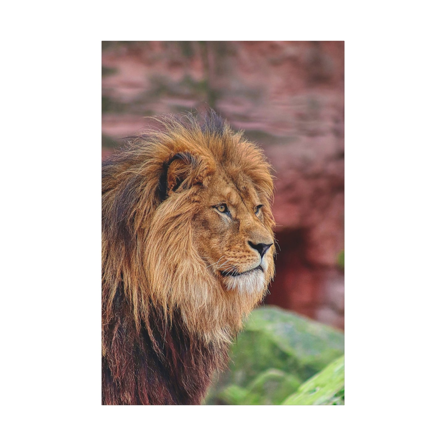 Majestic Lion Canvas Wall Art – A Symbol of Power and Grace