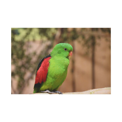 Green Parakeet Canvas Wall Art