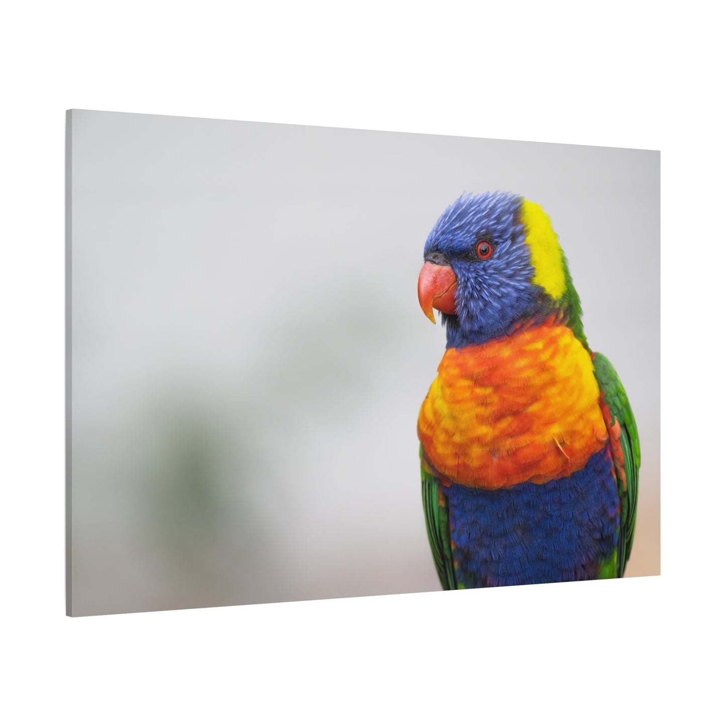 Radiant Rainbow Lorikeet Canvas Art – Tropical Beauty for Your Walls