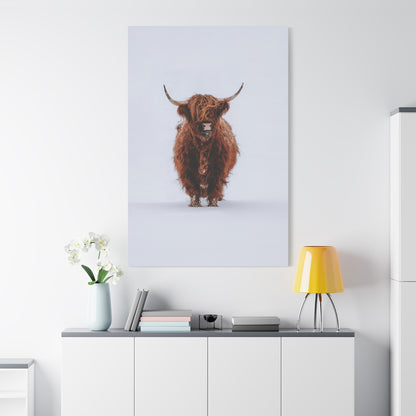 Winter Highland Cattle – Rustic Animal Photography Print