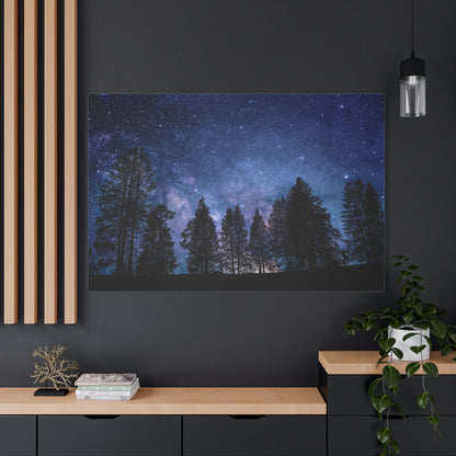 Starry Night Sky Over Enchanted Forest Illustration