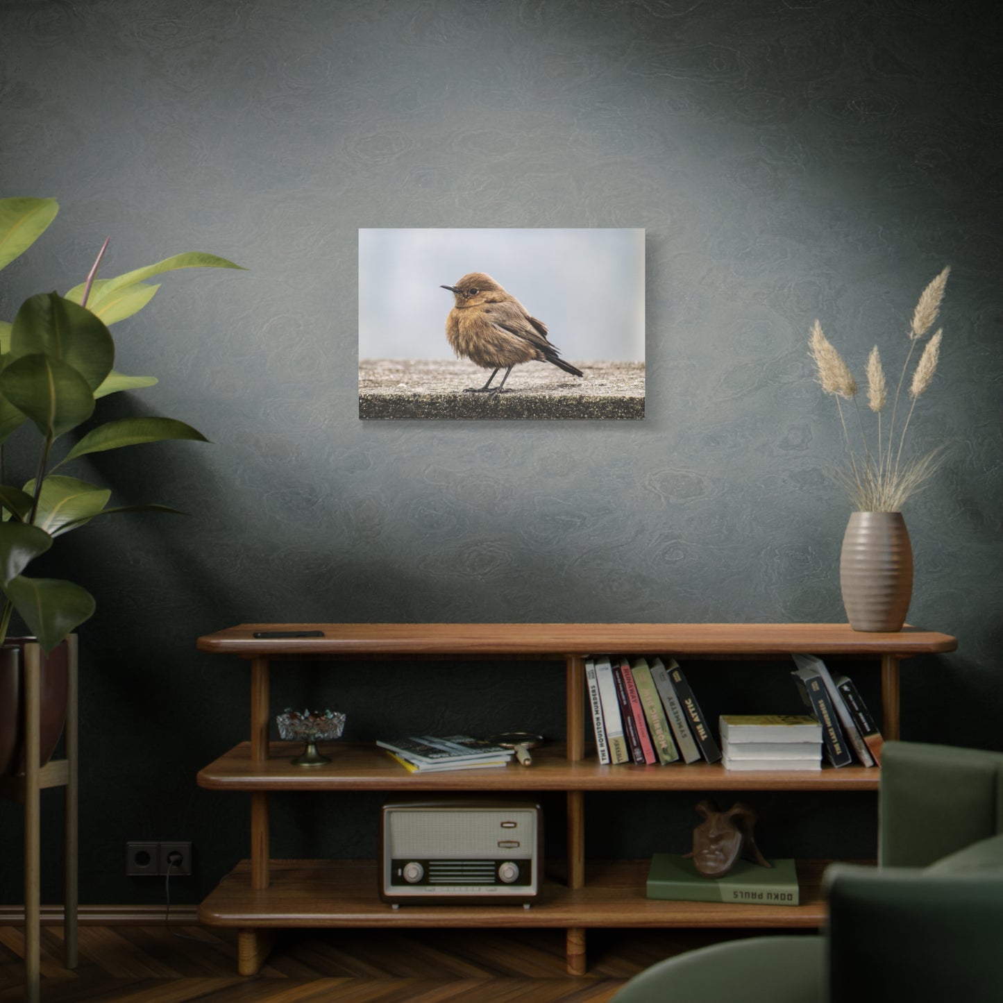 Indian Chat Bird Canvas Wall Art