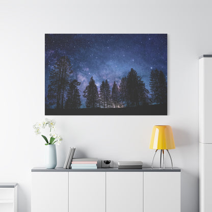 Starry Night Sky Over Enchanted Forest Illustration