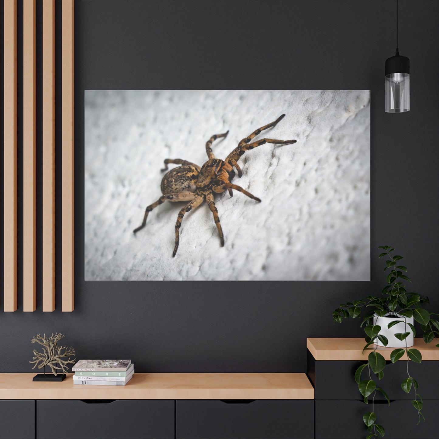 Close-Up Spider Canvas Wall Art – A Stunning Tribute to Nature's Predators