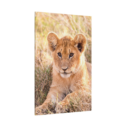 Adorable Lion Cub Canvas Wall Art – A Symbol of Youthful Majesty