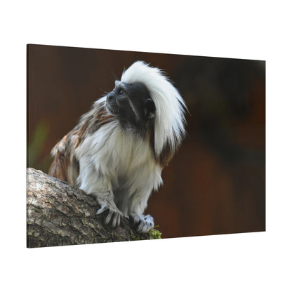 Charming Monkey Canvas Wall Art – Playful and Adorable Wildlife