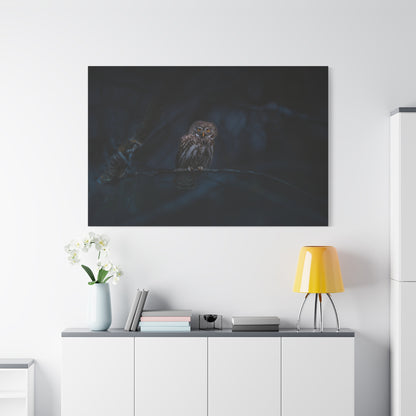 Enchanting Eurasian Pygmy Owl Canvas Wall Art – Woodland Beauty