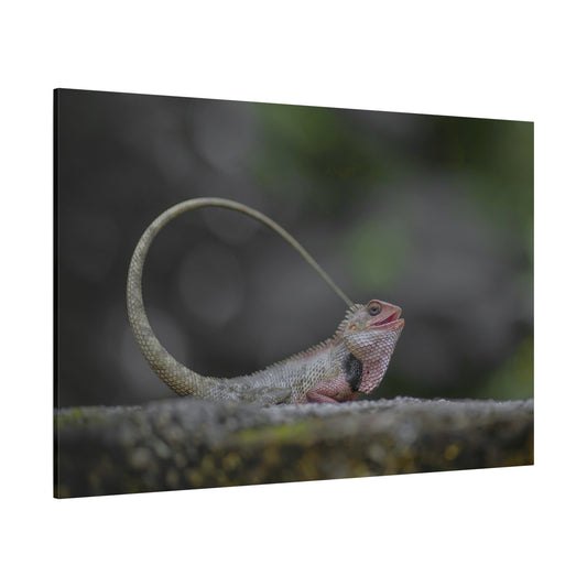 Colorful Chameleon Canvas Wall Art – Exotic Wildlife Print for Nature-Inspired Decor