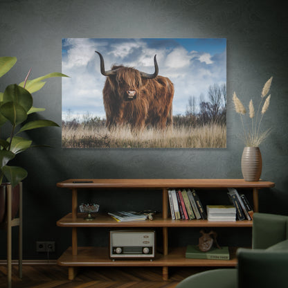 Majestic Highland Cow – Rustic Wildlife Photography Print