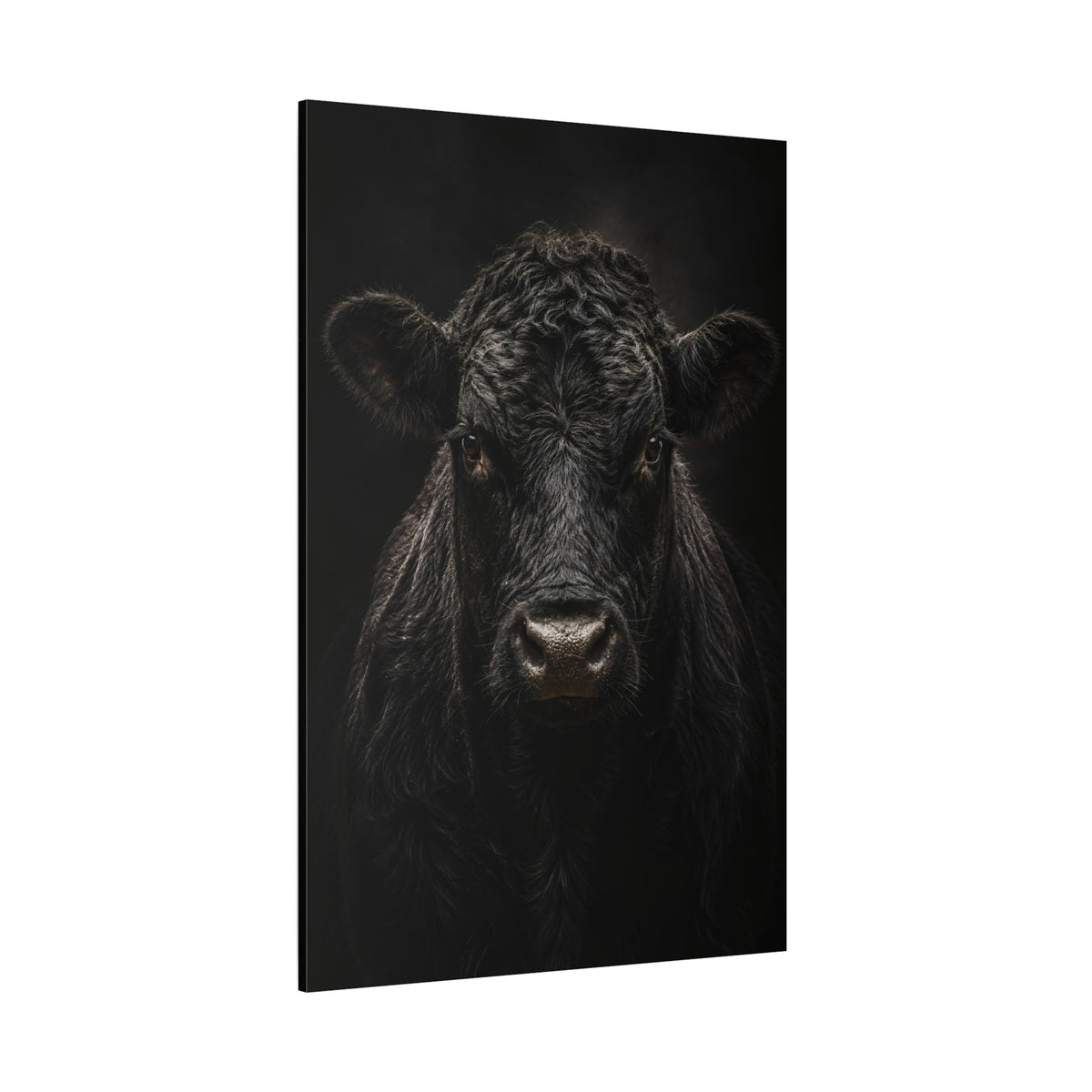 Black Angus Bull Close-Up Portrait Wrapped Canvas Wall Art – Dramatic Low-Key Photography Print - ART OF ROYALS