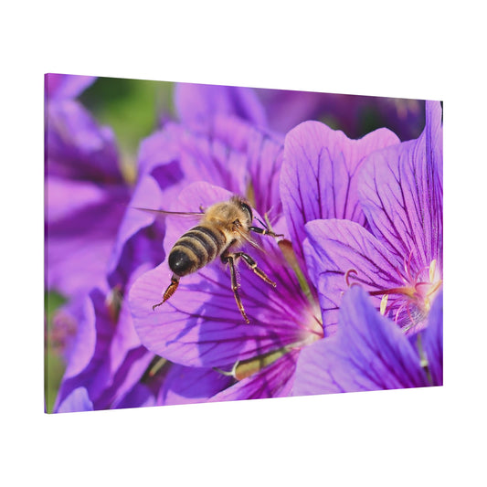 Wild Bee Macro Canvas Wall Art – Nature’s Intricate Pollinator