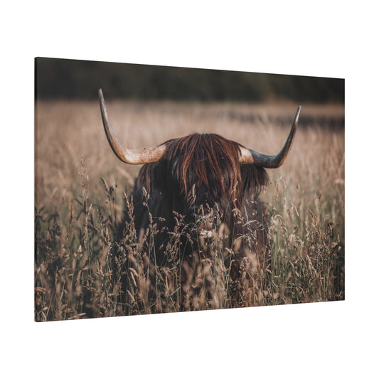 Highland Cow in Meadow – Rustic Nature Photography Print