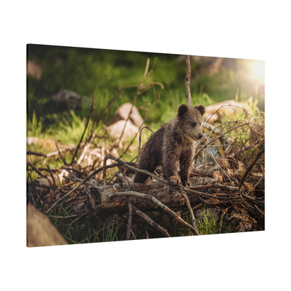 Majestic Brown Bear Canvas Wall Art – Wild Strength and Elegance