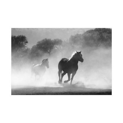 Galloping Horses Stallions Canvas Wall Art – Powerful and Free