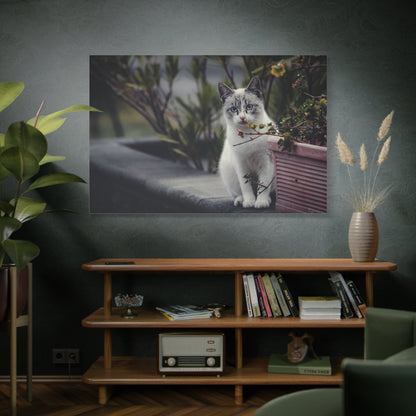 Cozy Cat Canvas Wall Art