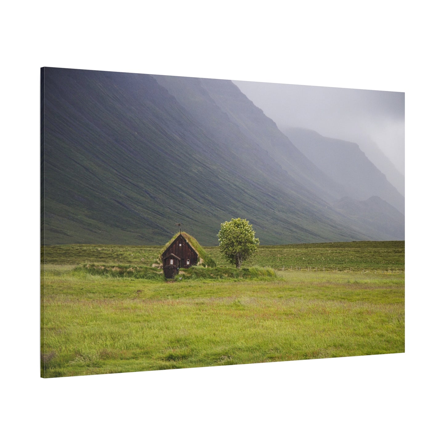 Majestic Lone Tree Amidst Rolling Green Hills – Nature’s Serenity