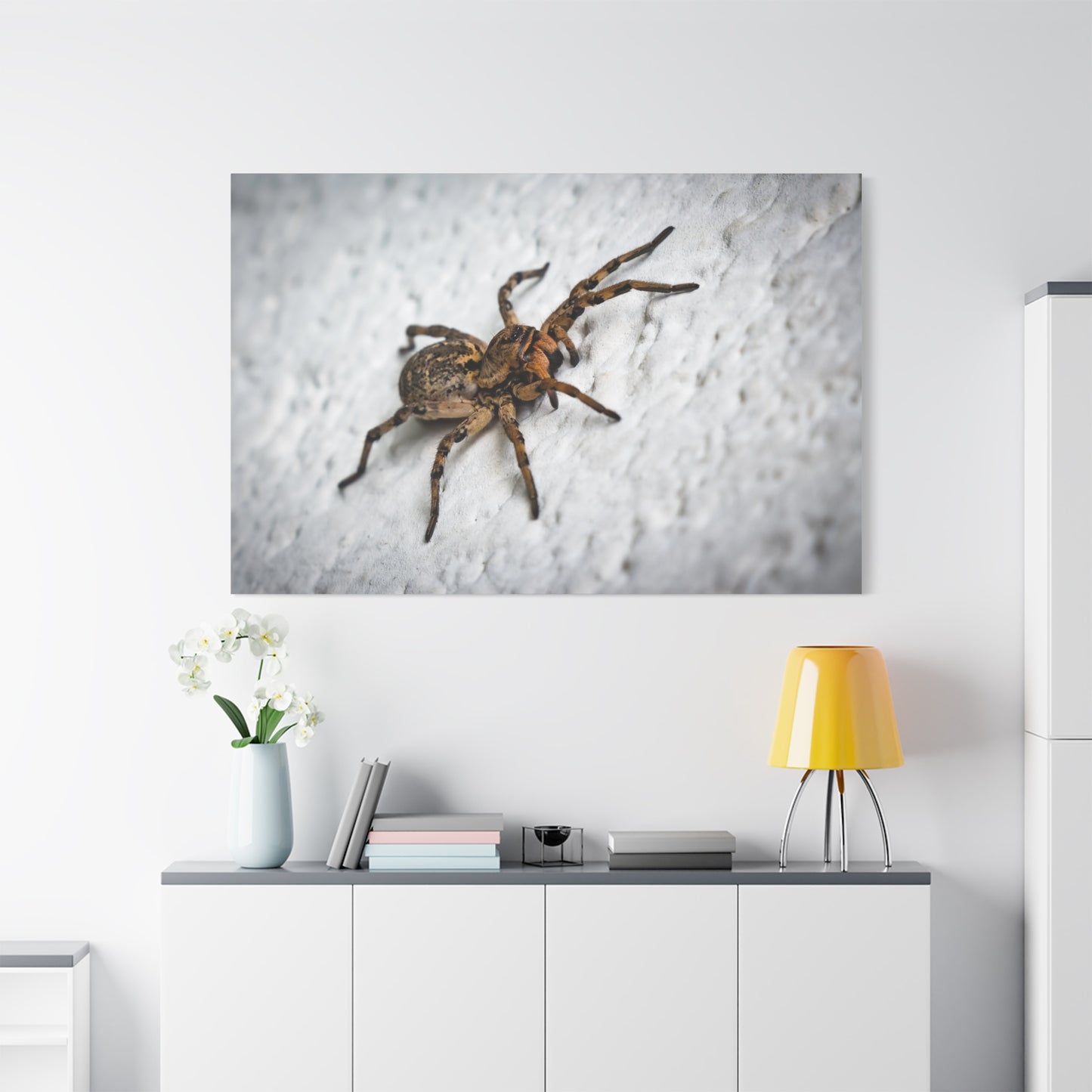 Close-Up Spider Canvas Wall Art – A Stunning Tribute to Nature's Predators