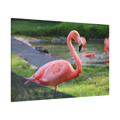 Graceful Flamingo Canvas Wall Art – Vibrant Pink Bird Decor for Home and Office Spaces