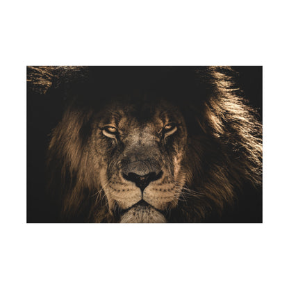 African Lion Portrait Canvas Wall Art