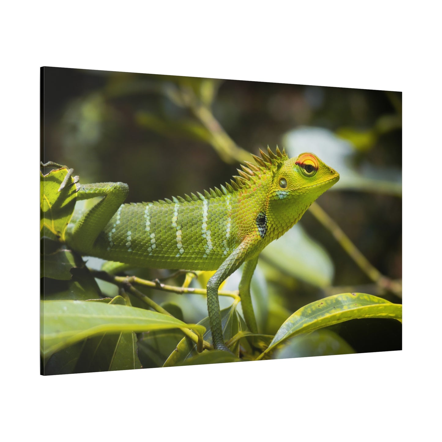 Emerald Green Lizard Canvas Wall Art – Exotic Wildlife Print for Modern Nature Decor