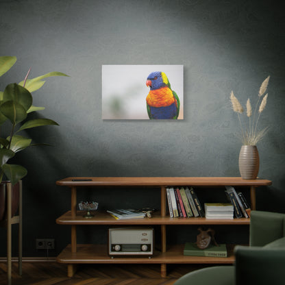 Radiant Rainbow Lorikeet Canvas Art – Tropical Beauty for Your Walls