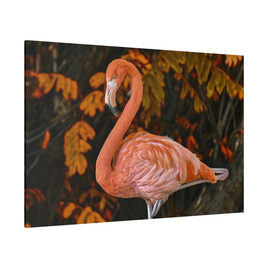 Elegant Flamingo Canvas Wall Art – Pink Bird Wildlife Decor for Modern Spaces