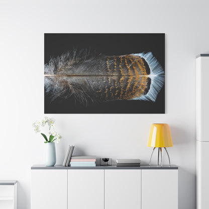 Elegant Turkey Feather Wall Art – Nature’s Intricate Beauty