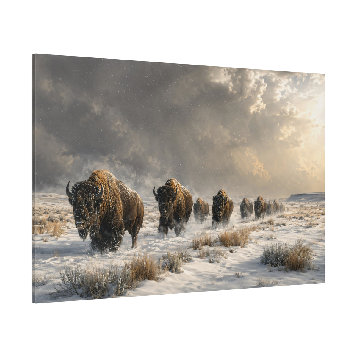 Bison Herd in Winter Storm Wrapped Canvas Wall Art – Snowy Plains Wildlife Photography Print - ART OF ROYALS
