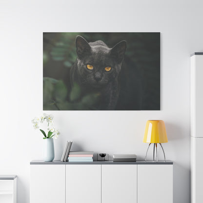 Enchanting Cat Eyes Canvas Wall Art – Mesmerizing Gaze of Grace