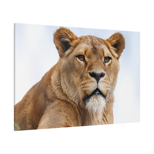 Majestic Lion Canvas Wall Art – Stunning Wildlife Artwork