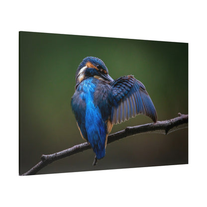 Kingfisher Portrait Canvas Wall Art – Vibrant Wildlife Charm