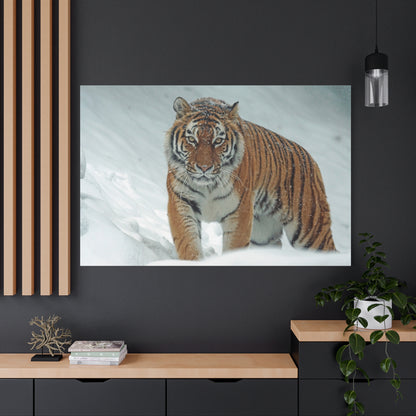 Siberian Tiger Canvas Wall Art – Majestic Predator in Snowy Wilderness