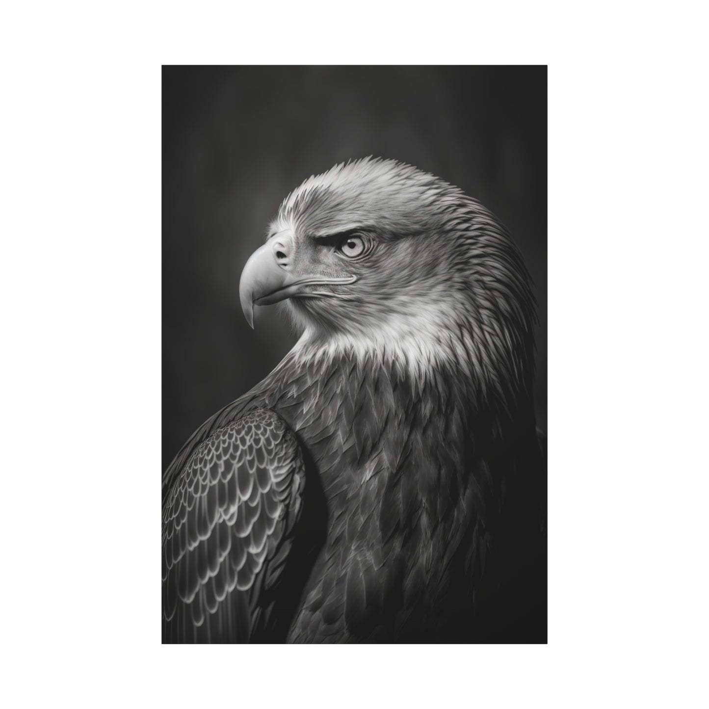 Fierce Hawk Canvas Wall Art – Stunning Wildlife Photography for Bold Spaces